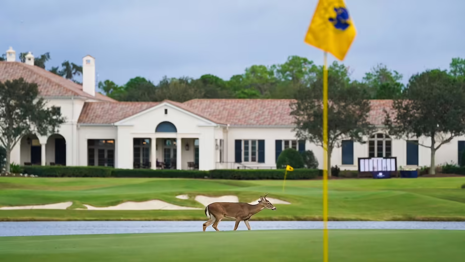 The Concession Golf Club's 2021 Fall Member - Guest tournament. Photo by Daniel Wagner / WAGNER VISUALS