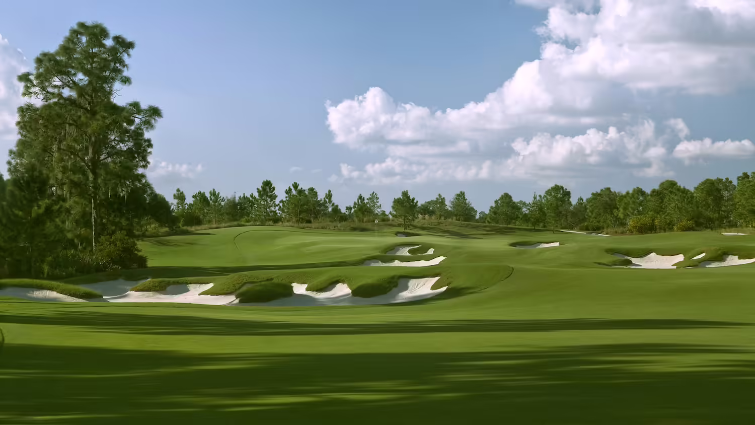 The Concession Golf Club 3